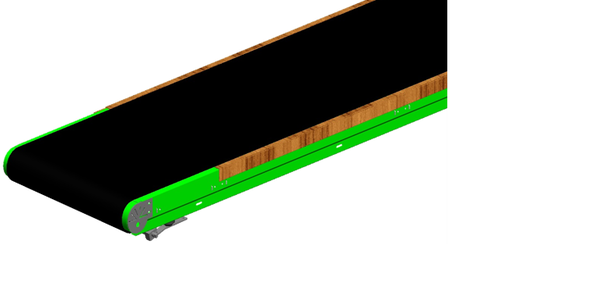 Conveyor Belt for manual sorting _CAO
